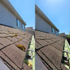Roof Cleaning Maple Valley 1